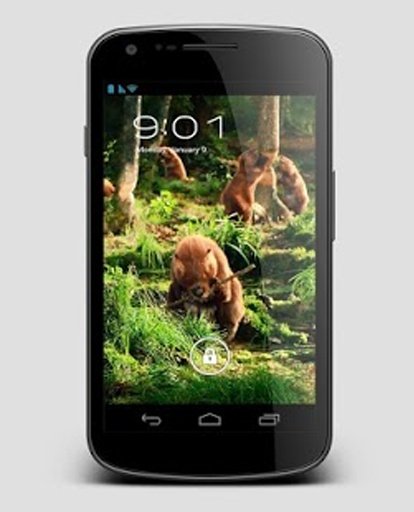 Forest Animals Beaver LiveWP截图1