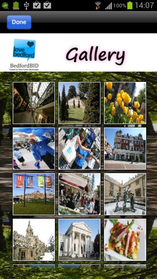 Bedford Town Guide截图5