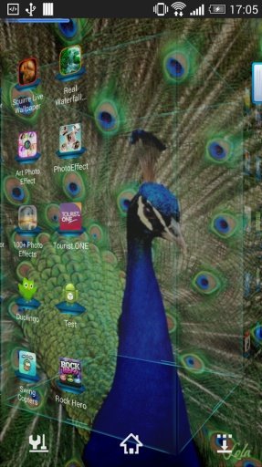 Peacock Feather Live Wallpaper截图1