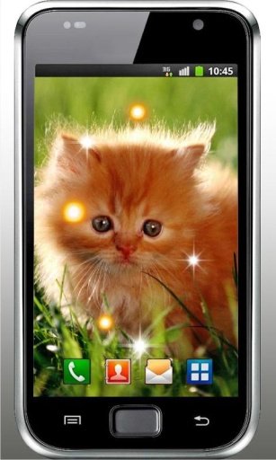 Kitty Gallery HD LiveWallpaper截图3