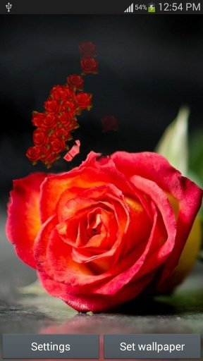 Rose HD Live Wallpaper截图2