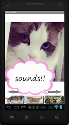 Cat Photo Sound Collection截图8