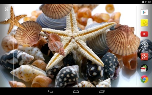 Sea shells Live Wallpaper截图5