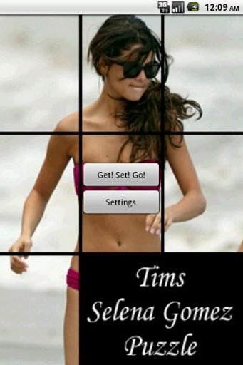 Tims Selena Gomez Puzzle截图2