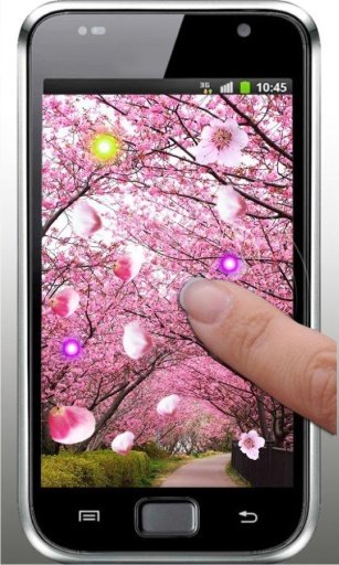 Sakura Spring live wallpaper截图1