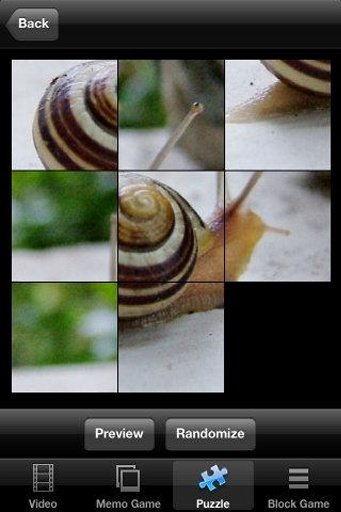 Turbo Racing Snail截图3