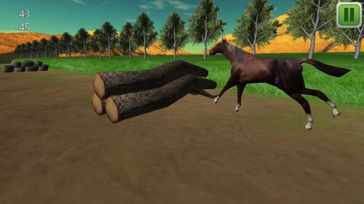 Horse Jumping 3D截图4