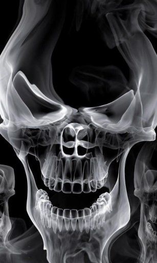 Skull Wallpapers截图2