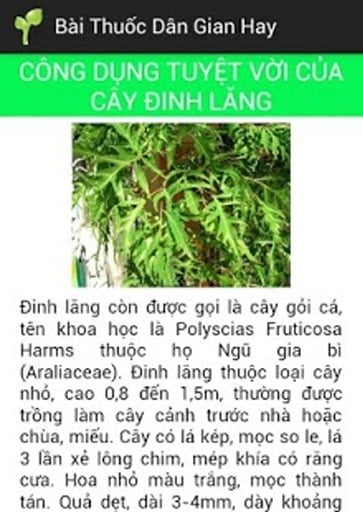 B&agrave;i Thuốc D&acirc;n截图4