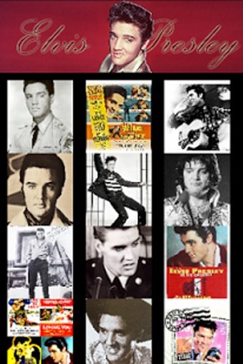 Elvis Presley Wallpaper截图1