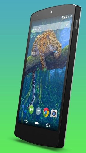 Leopard Live Wallpaper截图2