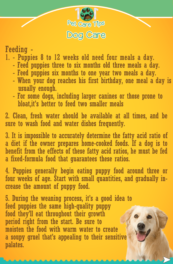 101 PetCare Tips截图3