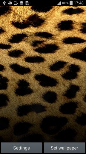 Leopard Print Live Wallpaper截图3