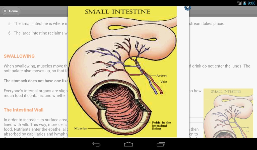 Human Body System截图4