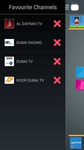 UAE Live TV截图1