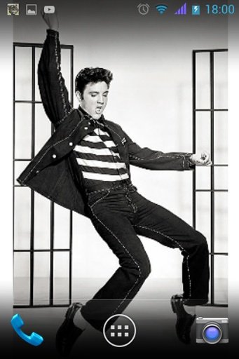 Elvis Presley Wallpaper截图6