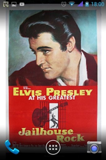 Elvis Presley Wallpaper截图7