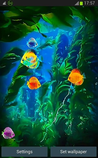 Aquarium Live Wallpapers 3D截图5