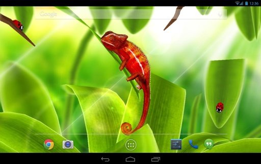 Chameleon 3DLiveWallpaper FREE截图5