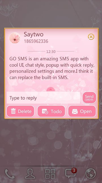 GO SMS PLANT A WISH THEME截图8