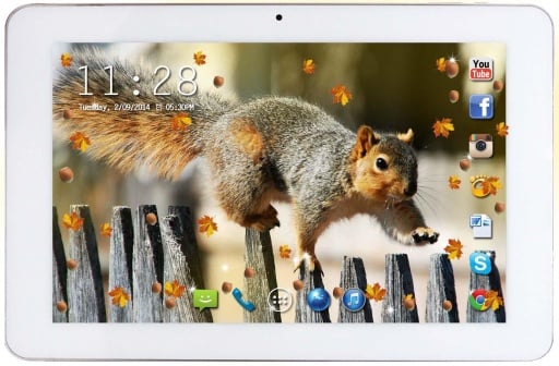 Autumn Squirrels livewallpaper截图2