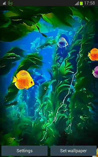 Aquarium Live Wallpapers 3D截图4