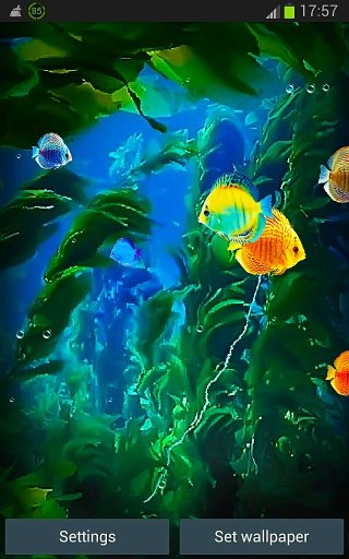 Aquarium Live Wallpapers 3D截图1