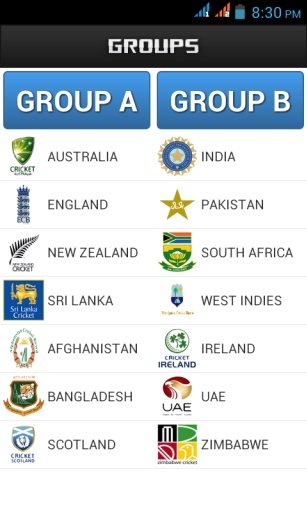 WorldCup Cricket 2015截图1