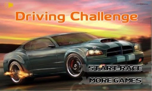 Driving Simulator Challenge截图6