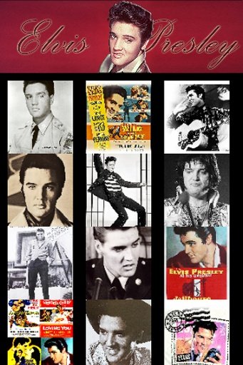 Elvis Presley Wallpaper截图3