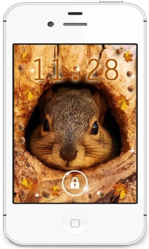 Autumn Squirrels livewallpaper截图3