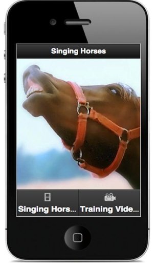 SINGING HORSES - FUNNY VIDEOS截图1