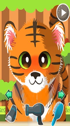 Zoo Animal Shave Spa Makeover截图2