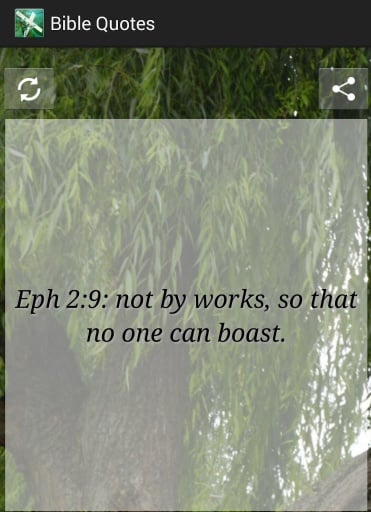 Bible Quotes截图3