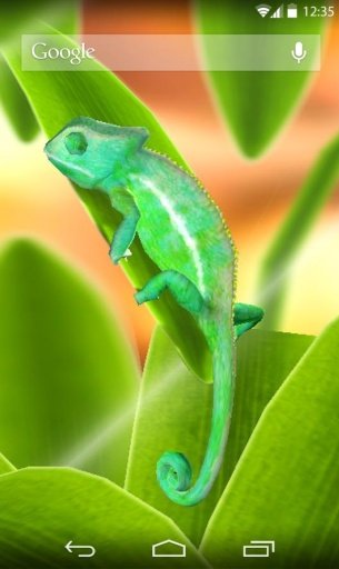 Chameleon 3DLiveWallpaper FREE截图3