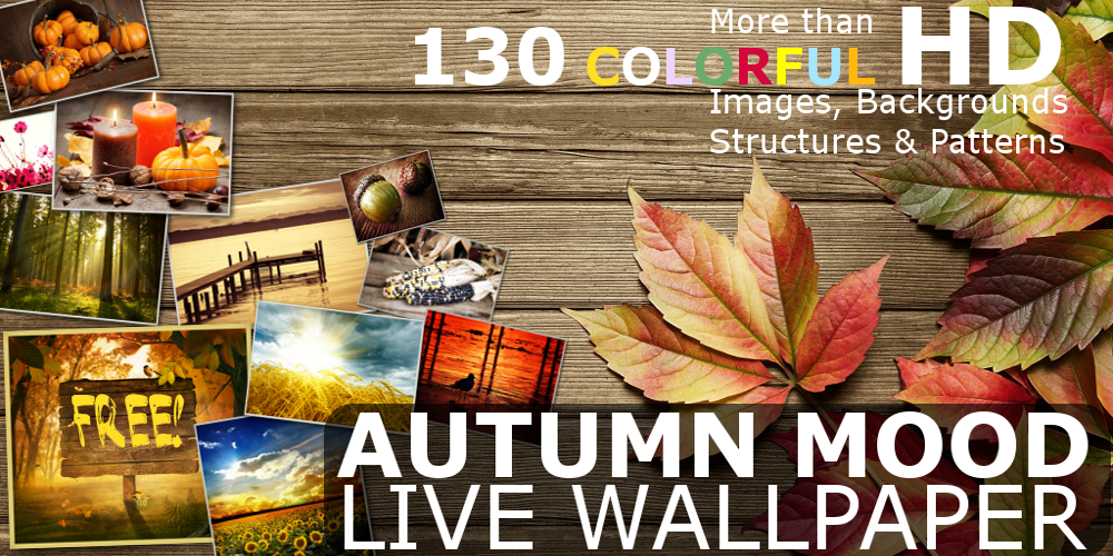 Autumn Mood Live Wallpaper截图7