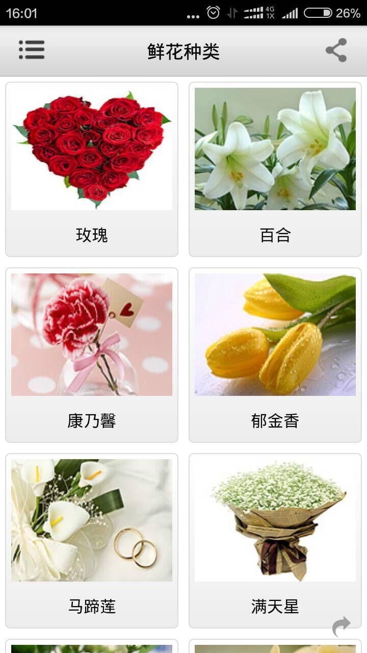 黄石鲜花礼品截图3