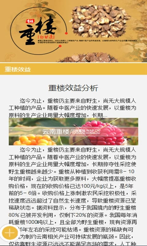 云南重楼截图3