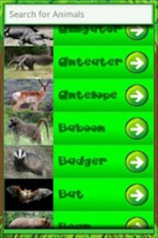 认识动物 Learning Animals: 3 in 1 Lite截图1