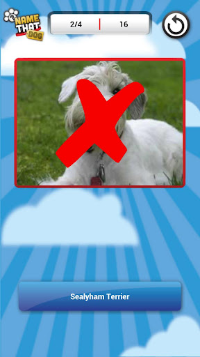 Name That Dog Free截图3