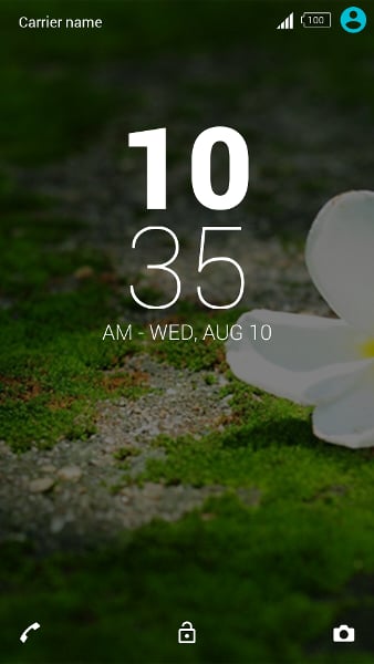 花-Xperia主题截图4