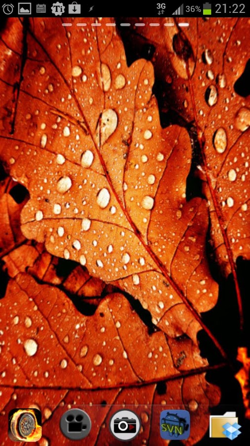 Autumn Mood Live Wallpaper截图2