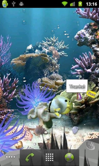 Coral Reef Lite Free Aqua Live截图3