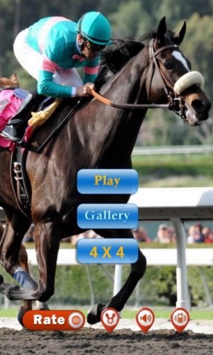 RacingHorse Jigsaw截图6