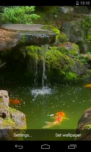 Pond with Koi Live Wallpaper截图1