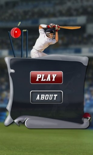 Cricket Game截图11