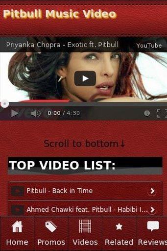 Pitbull Music Video截图2