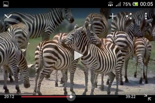 Animal TV-HD Documentary截图5