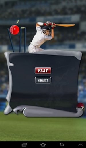 Cricket Game截图4