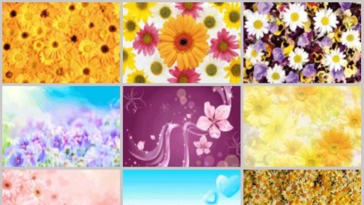 Flower Frames截图9